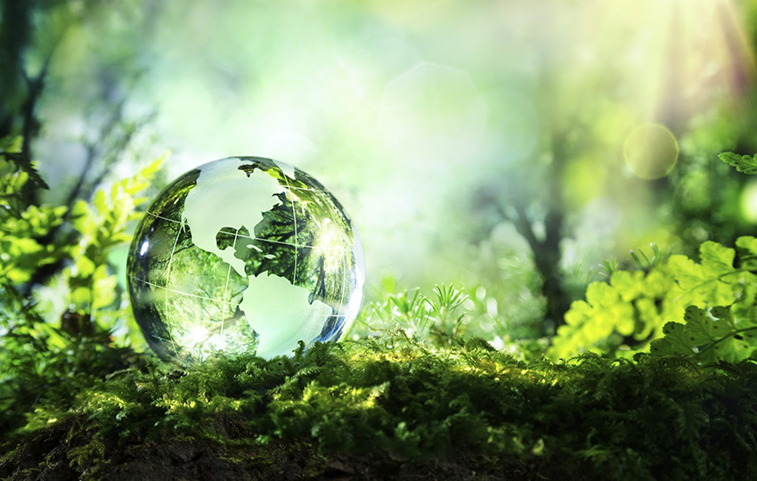 2024: The Year Sustainability Became the Core of Business Strategy